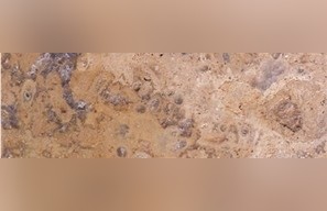 China Brown Travertine