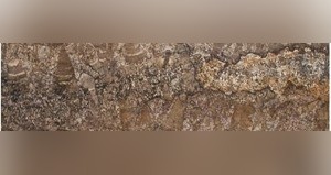 Chocolate Brown Granite