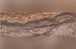 Chocolate Travertine