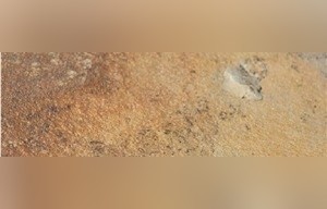 Choctaw Tan Sandstone