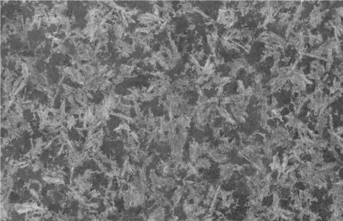 Cinzento Monchique Granite