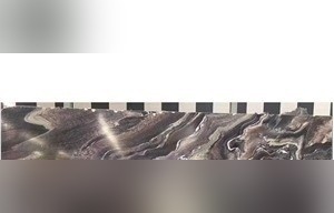 Cipollino Ondulato Marble