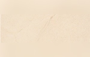 Ciucurova Limestone