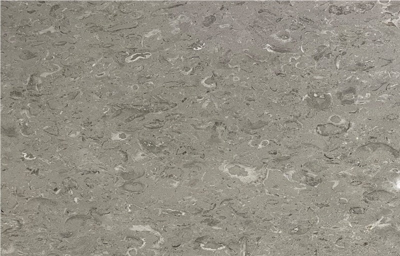 Clauzetto Fiorito Limestone