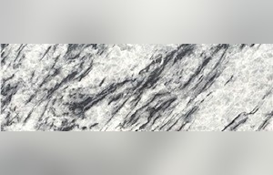 Coahuila Princess White Marble