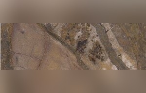 Coffee Been Marble