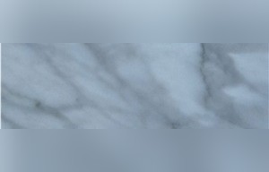 Coin Blanco Marble
