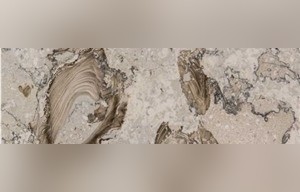 Conchiglia Rara Marble