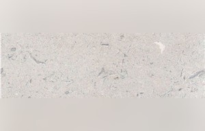 Coombefield Xe Limestone