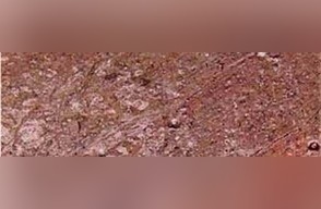 Copper Multicolor Quartzite