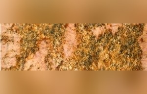 Coral Reef Granite