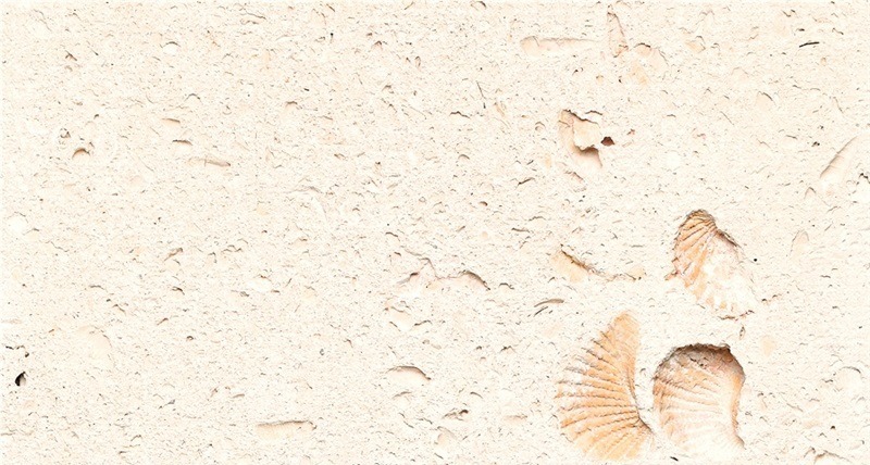 Cordova Shell Limestone