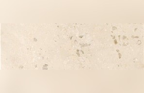 Corgoloin Limestone