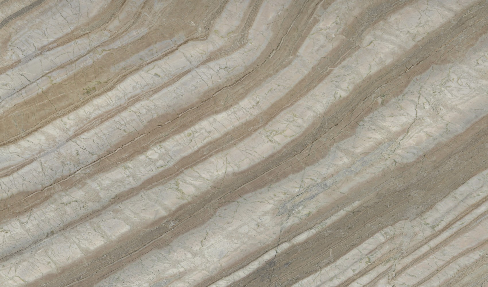 Corteccia