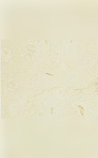 Corton Rose Limestone