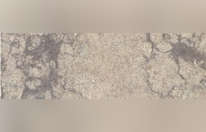 Courtaud Grey Limestone
