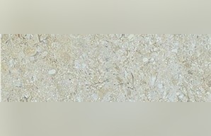 Cream Alden Limestone