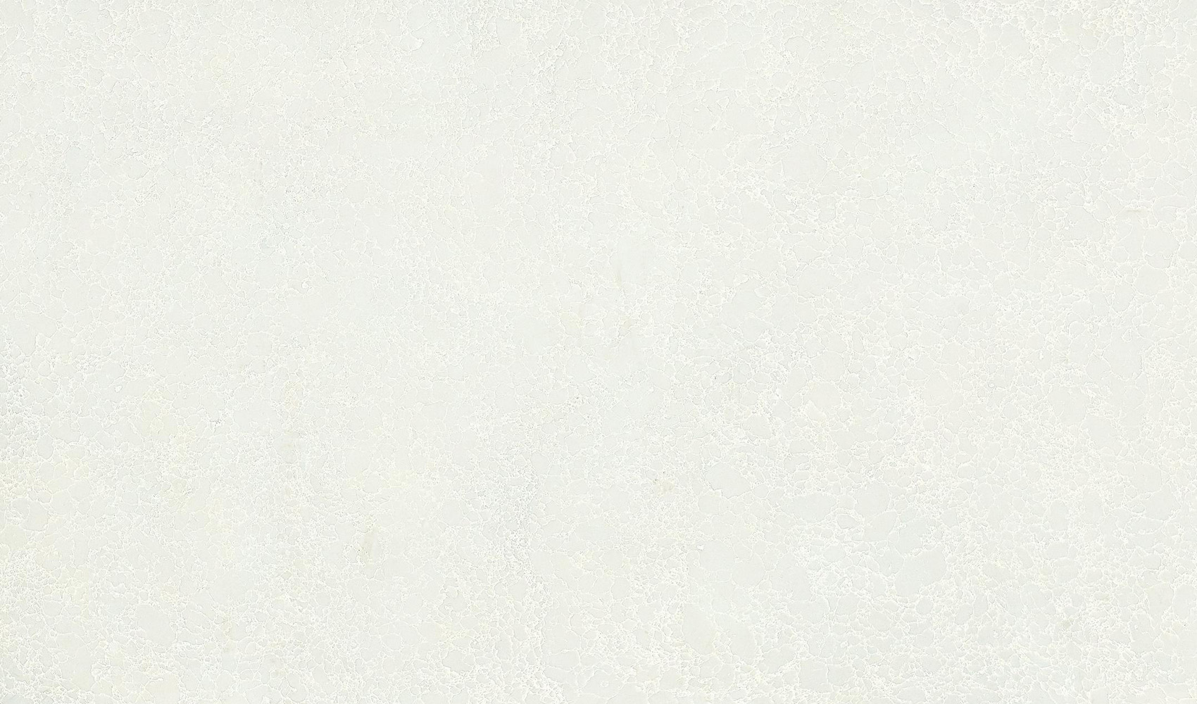 Cream Beige