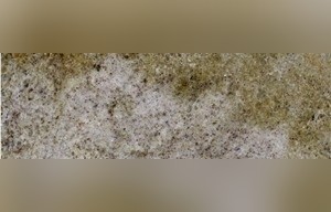 Cream Cashmere Granite