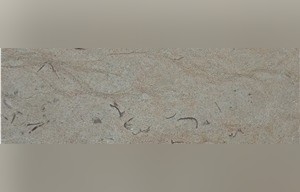 Cream Cobal Limestone