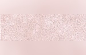 Crema Beida Limestone