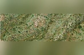 Crema Botanic Granite