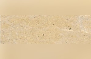 Crema Cenia Limestone