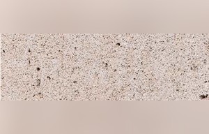 Crema Fosil Limestone