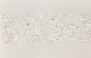 Crema Marbella Limestone