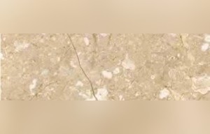 Crema Marfil Florido Marble