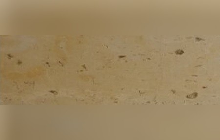 Crema Mediterraneo Limestone
