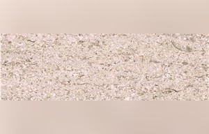 Crema Mocca Limestone