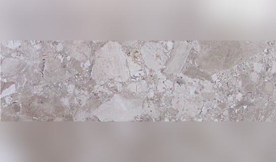 Crema Mora Limestone