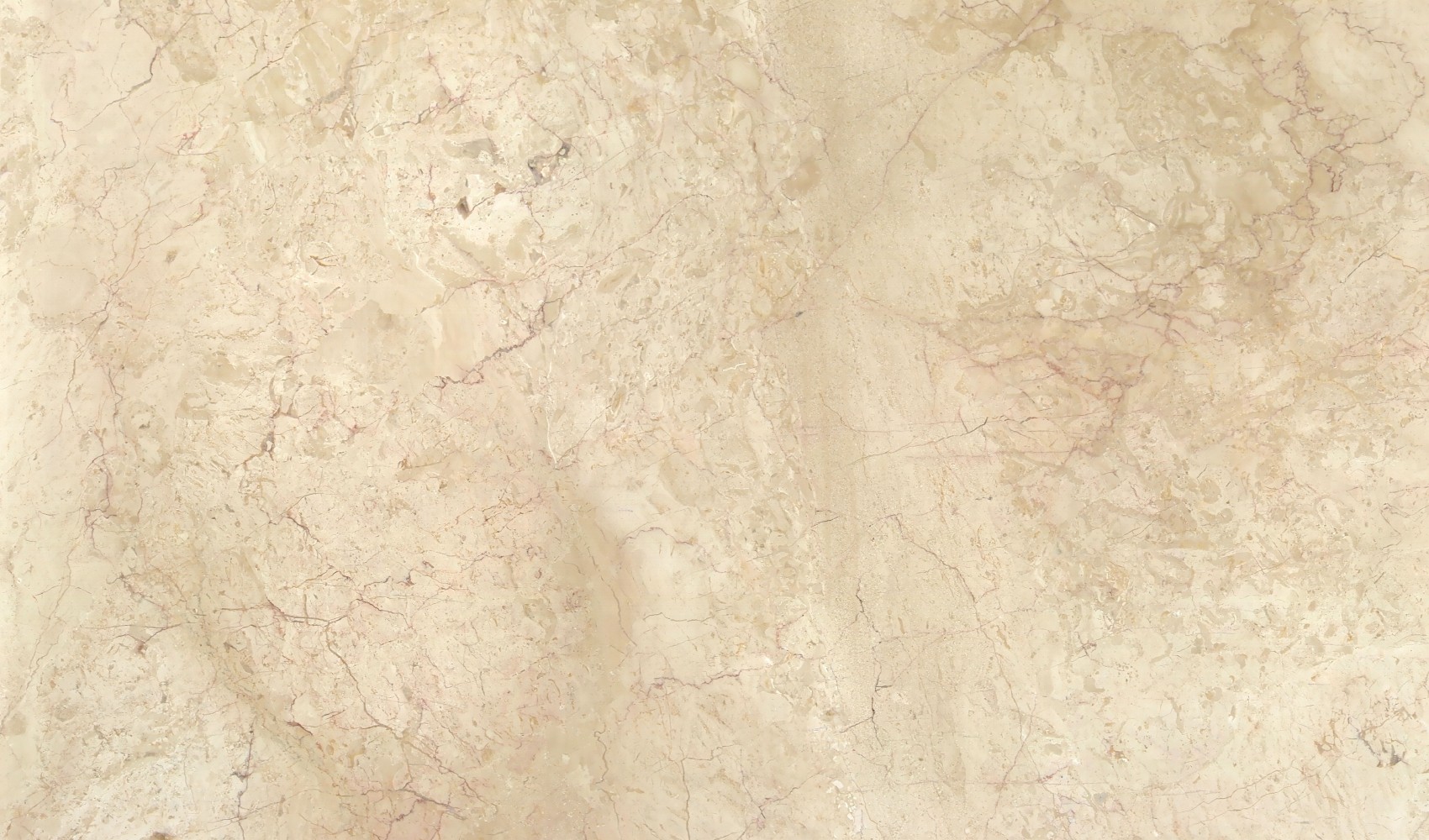 Crema Nuova