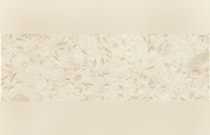 Crema Patricia Fossil Limestone