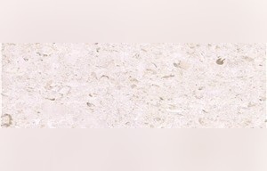 Crema Pearl Limestone