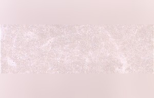 Crema Supreme Marble