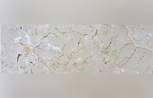 Crema Tropical Limestone