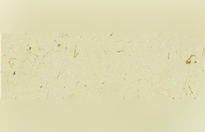 Crema Unico Marble