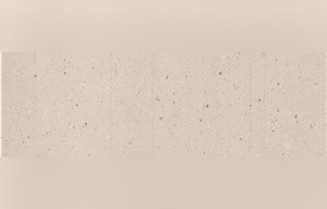 Creme Artico Limestone