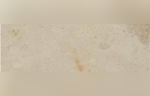 Creme Jurassico Limestone