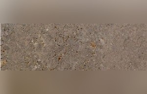 Crocodile Beige Marble