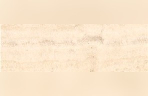 Curiaca Blanco Travertine