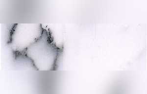 Cyan Flower White Marble