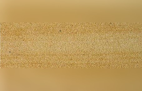 Czaple Sandstone