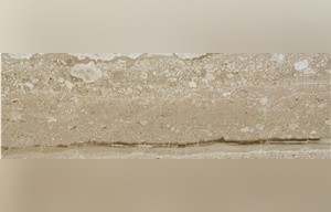 Daino Reale Marble