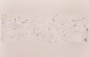 Dalle De Lignon Limestone
