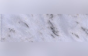 Dalmania Marble