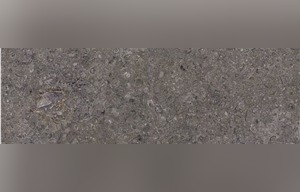 Dark Sinai Pearl Limestone