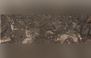 Deep Ocean Beige Marble